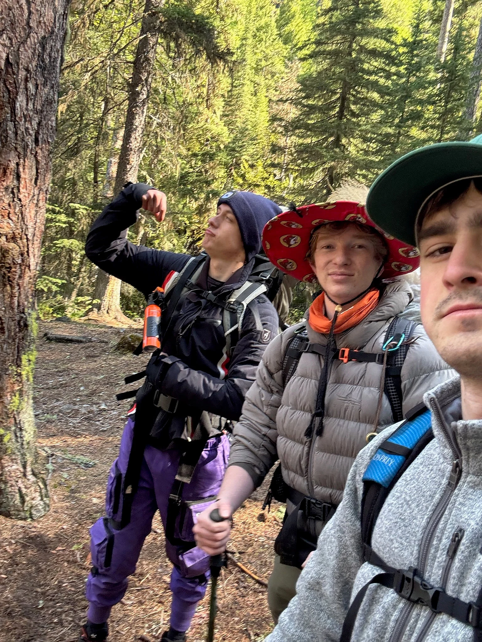 Three backpackers pose among tall evergreens, one flexing and another wearing a red wide-brimmed hat.